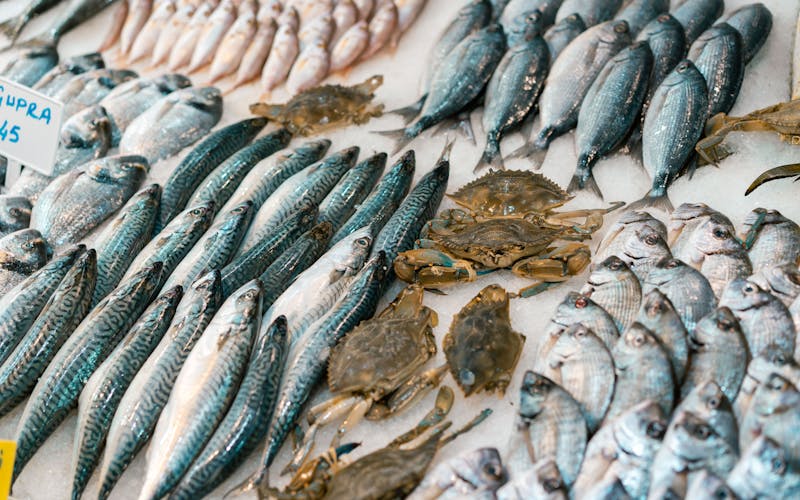 pexels-photo-12955692