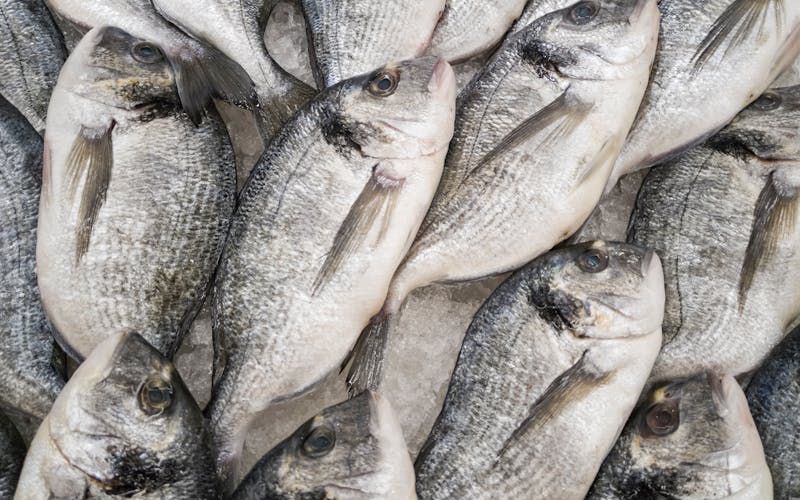 pexels-photo-2042591