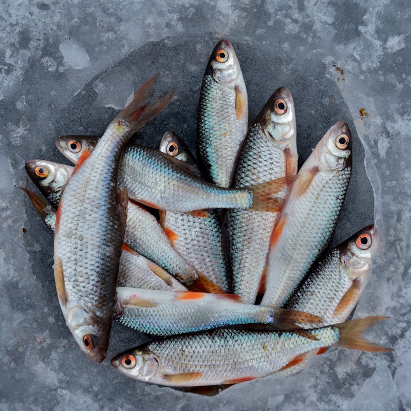 pexels-photo-2792153