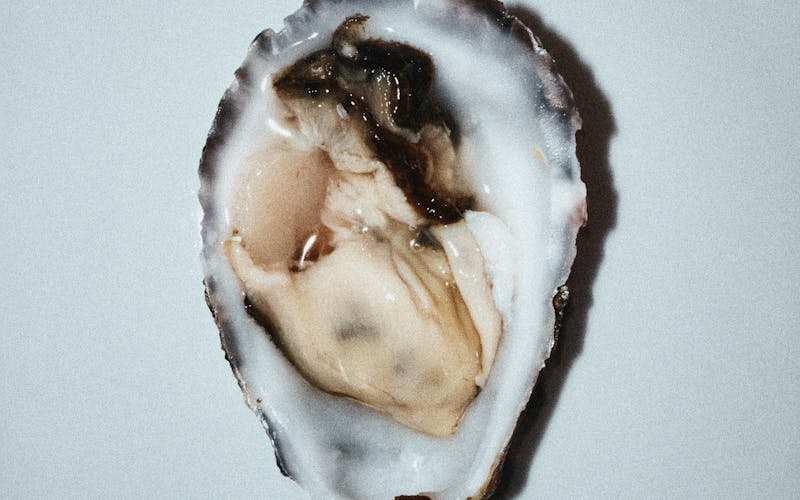 pexels-photo-30296774-1