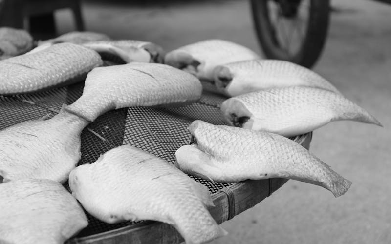 pexels-photo-33634904