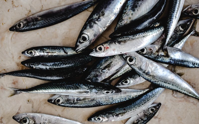 pexels-photo-6149077