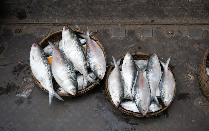 pexels-photo-7683600